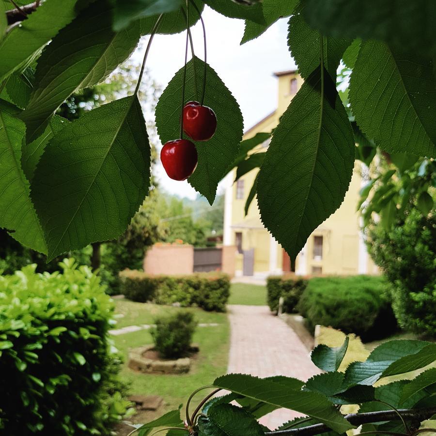 Casa Dei Frati Hotel Asti Buitenkant foto